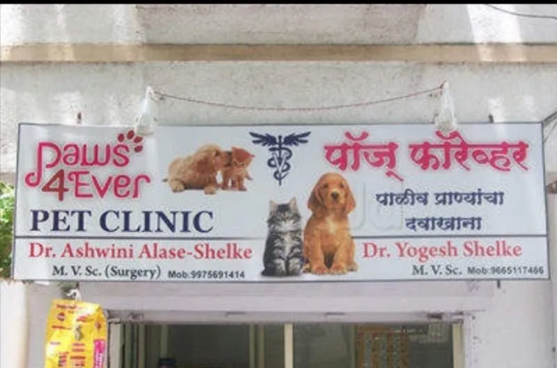 Paws 4Ever Pet Clinic – Dr. Ashwini Alase photo