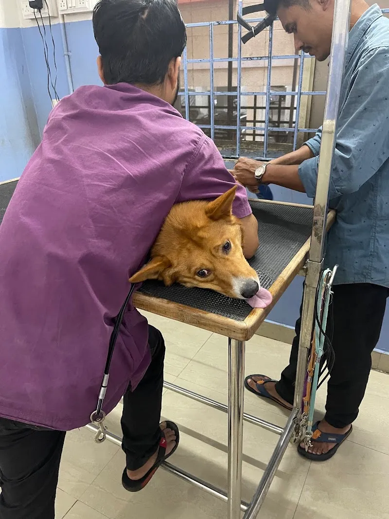 Paws Valley Pet Hospital Kaggadaspura Branch photo