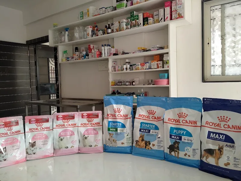 Pawsitive Pet Clinic photo