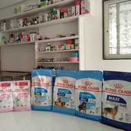 Pawsitive Pet Clinic photo