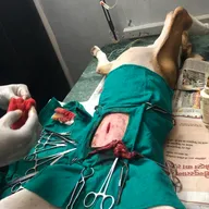 PC Vet Clinic . photo