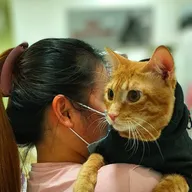 PET AID – Clinic by Dr Milind Hatekar | Best Pet Clinic In Aundh, Pune photo