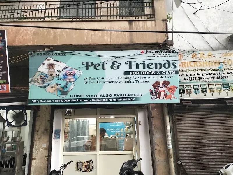 Pet & Friends photo
