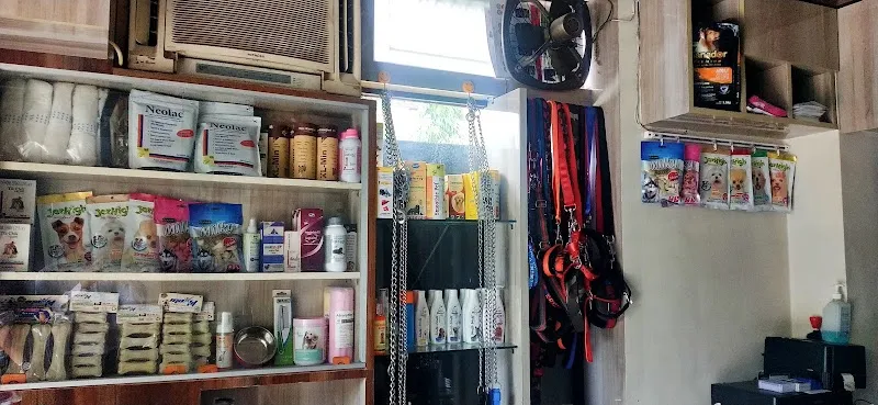 Pet Bliss Veterinary Clinic photo