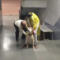 Pet Care and Dog Clinic photo