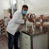 Pet Care Clinic (Paschim Vihar) photo