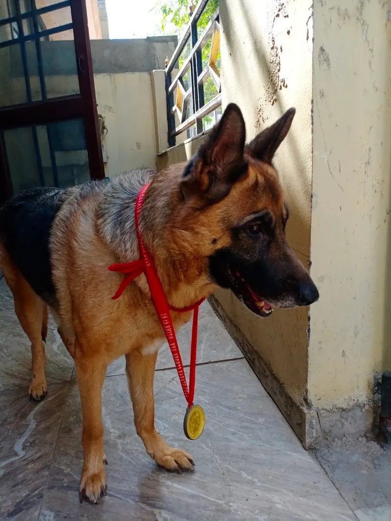 Pet Clinic photo