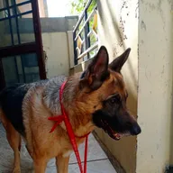 Pet Clinic photo