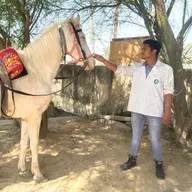 Pet Clinic by Dr.Bhaskar Santoshi photo