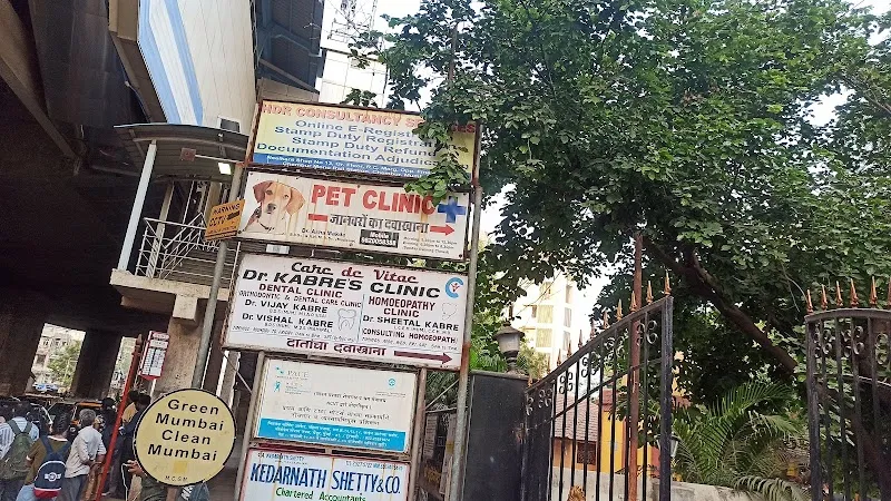 Pet Clinic photo