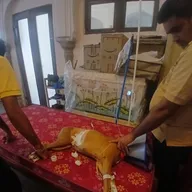 PET CLINIC photo