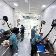 Pet Cure & Care Clinic photo