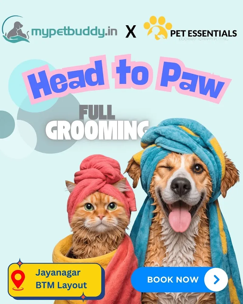 Pet Essentials – The Pet Store, Pet Clinic and Pet Spa BTM photo