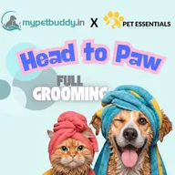 Pet Essentials – The Pet Store, Pet Clinic and Pet Spa BTM photo