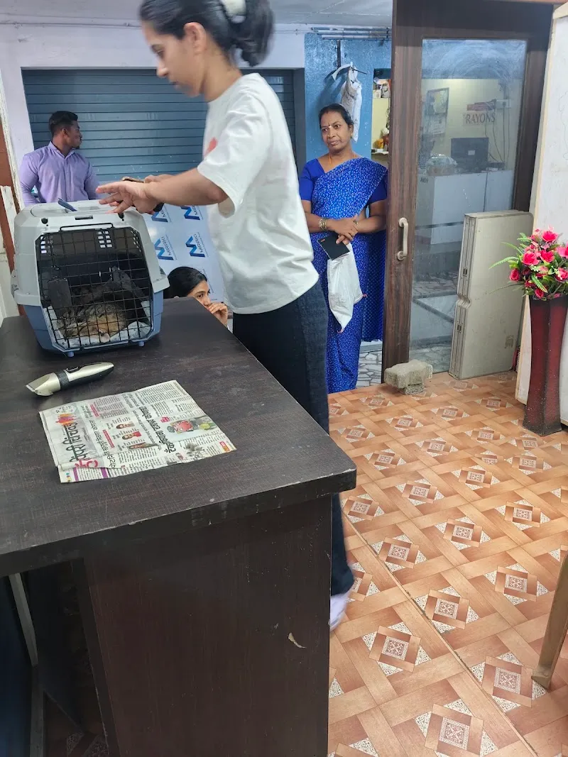 Pet Healthcare Surgery Centre | Pet Foods photo