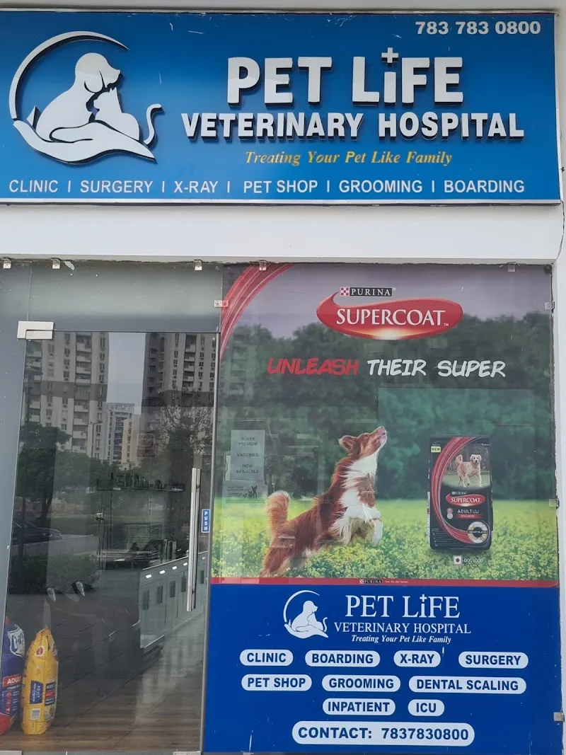 Pet Life Veterinary Hospital photo