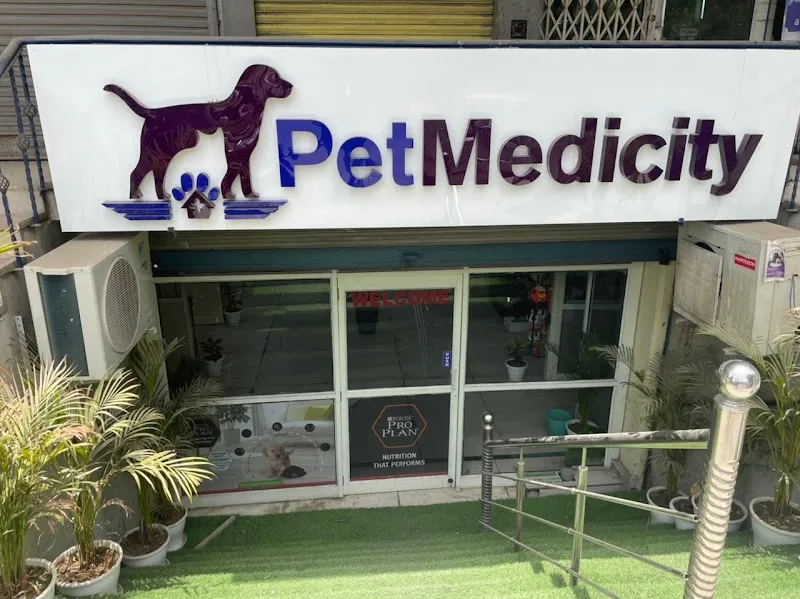 Pet Medicity photo