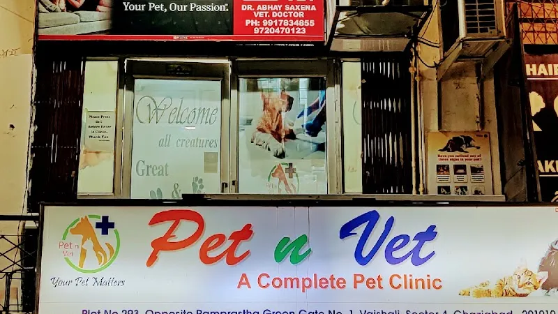 Pet n Vet Clinic photo