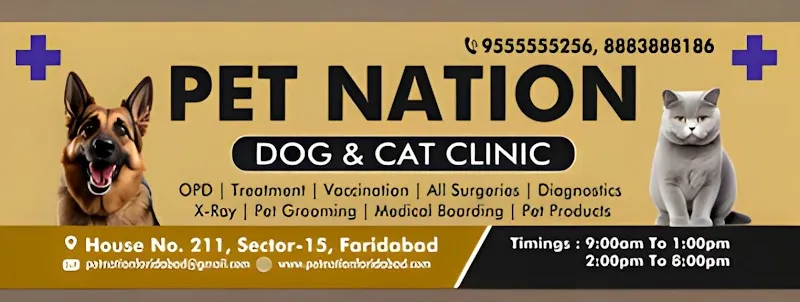 PET NATION photo