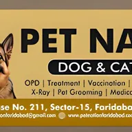 PET NATION photo