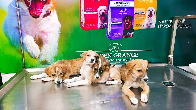 Pet Paradise Veterinary Clinic photo