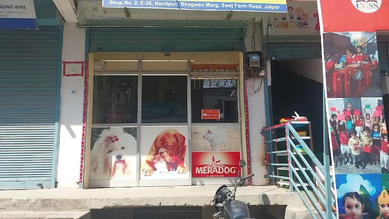 Pet Point Dog Clinic photo