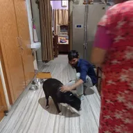 Pet service star vet photo