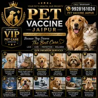 Pet Vaccine Jaipur photo