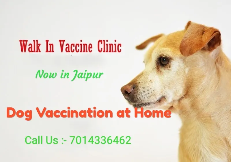 Pet Vet at Home | Pet Veterinarian in Jaipur photo