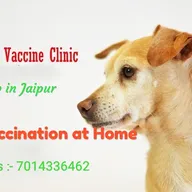 Pet Vet at Home | Pet Veterinarian in Jaipur photo
