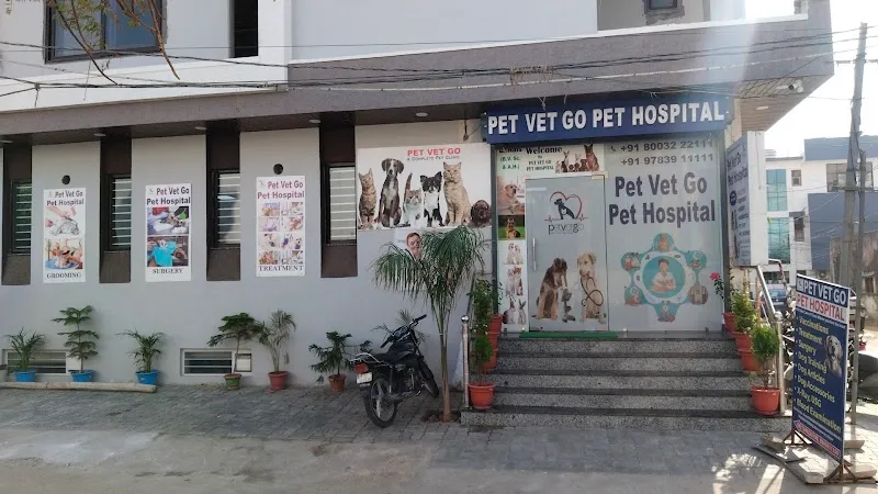 Pet Vet Go Pet Hospital : Best dog cat Pet Hospital in Vaishali Nagar photo