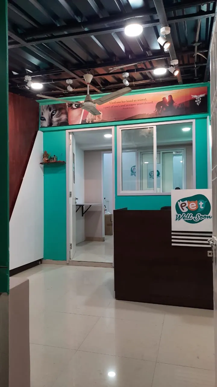 Pet Well Soon Clinic & Surgical Center photo