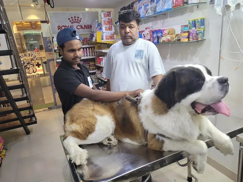 PET WELLNESS HOSPITAL photo