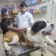 PET WELLNESS HOSPITAL photo