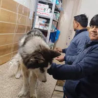 Petcare clinic & pet Shop photo