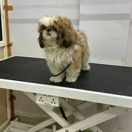 PetLifeline Hospital and Grooming center photo