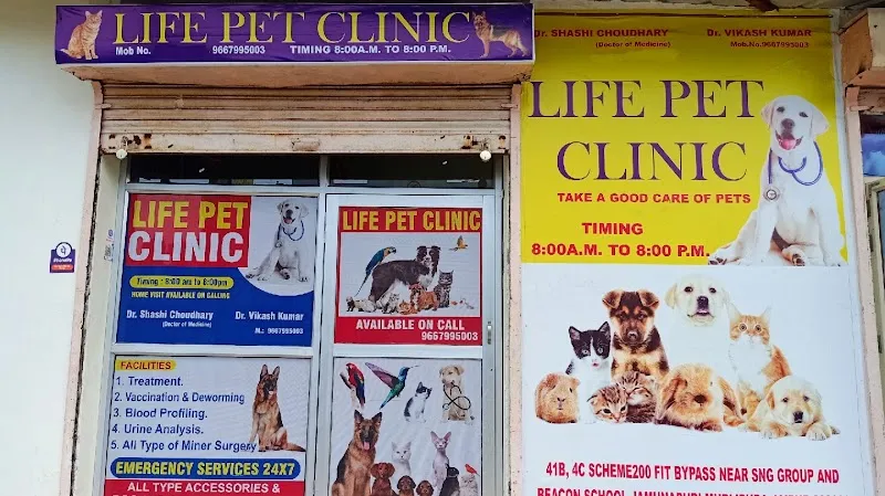 Pets Buddy Pet Care Centre photo