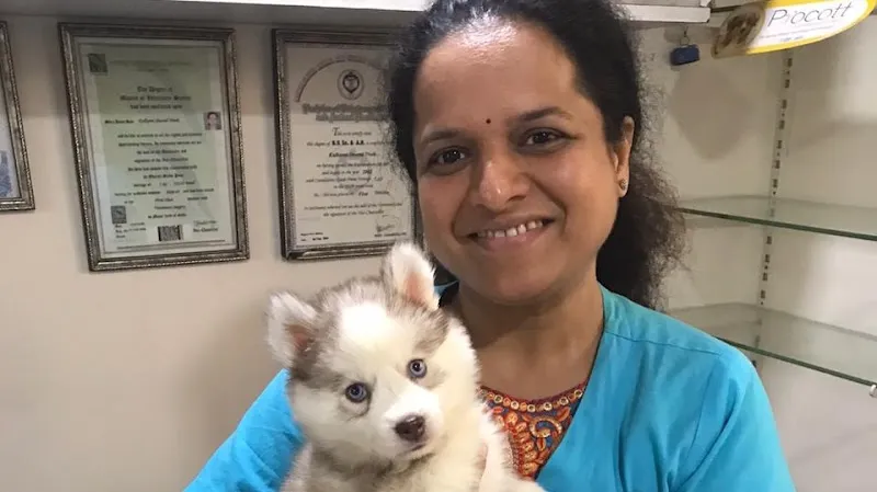 Pets N Vets photo