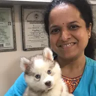 Pets N Vets photo