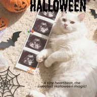 Pet’s Paradise Multispeciality Hospital 24×7 by Dr. Ami Sanghavi photo