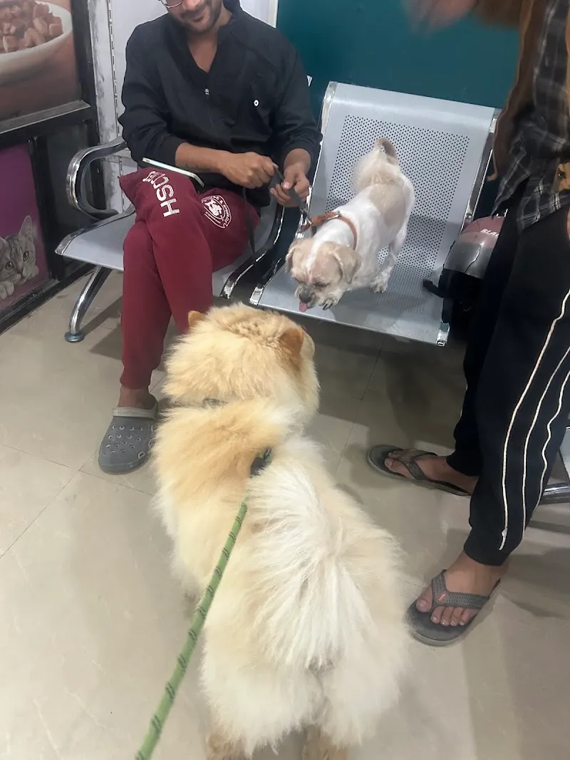 Pets Terminal Clinic photo