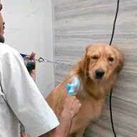 PetSphere (Pet Clinic, pet grooming & pet shop) photo