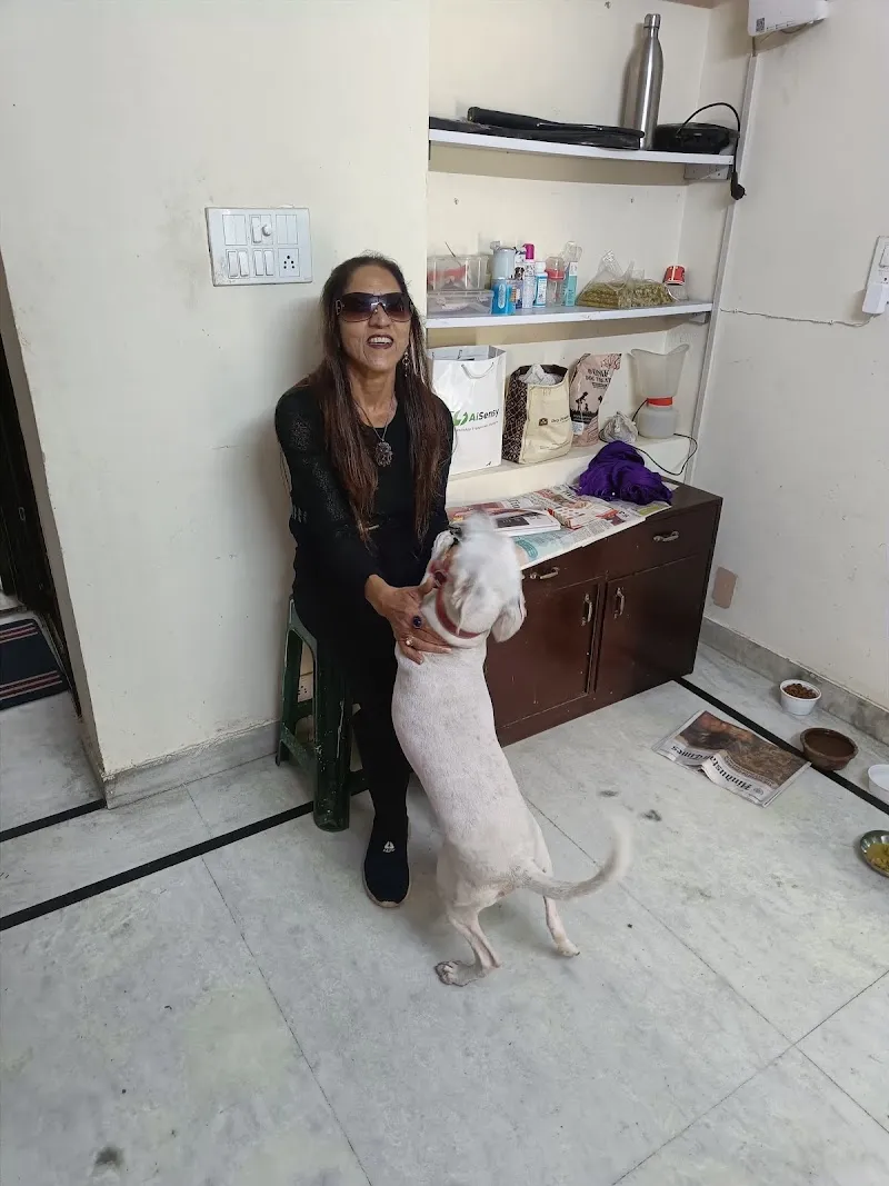 PetSphere photo