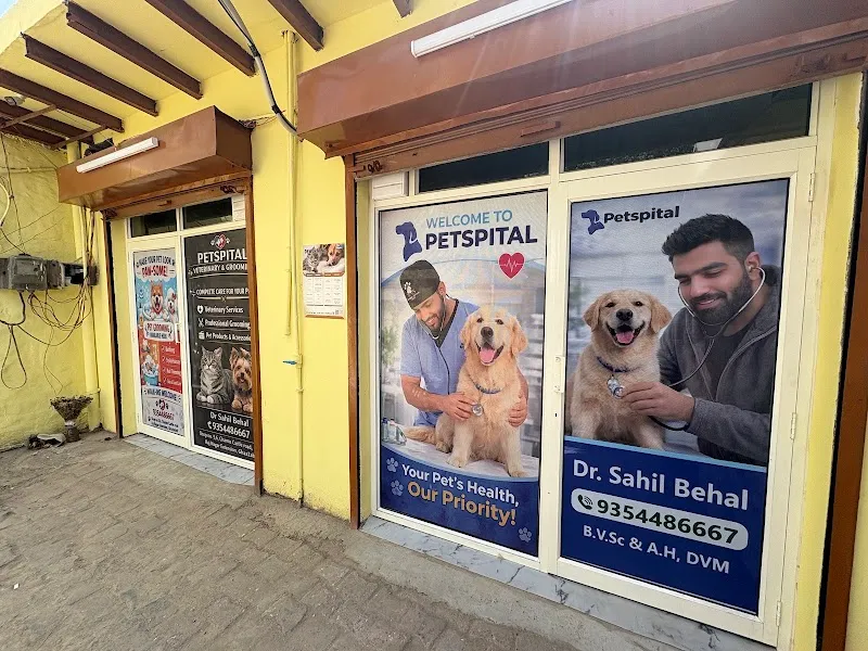 Petspital || Veterinary Pet Care Clinic for Dogs & Cats photo