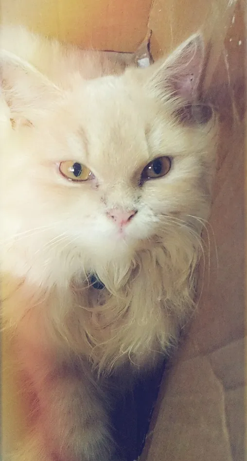 PetZone Churchgate photo