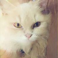 PetZone Churchgate photo