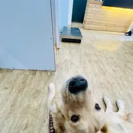PetZone Mahalaxmi Veterinary Clinic photo