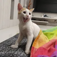 PetZone Powai Veterinary Clinic photo