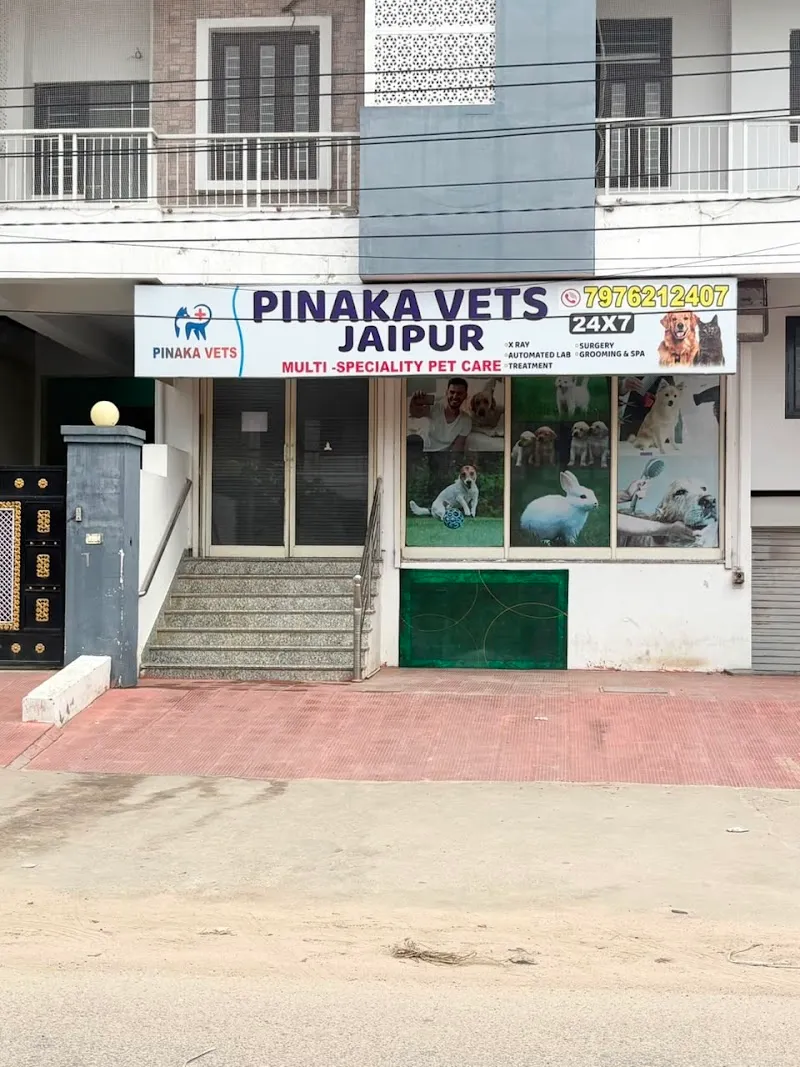 Pinaka Vets Jaipur photo
