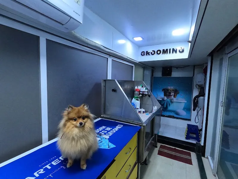 Planet Animal Hospital photo